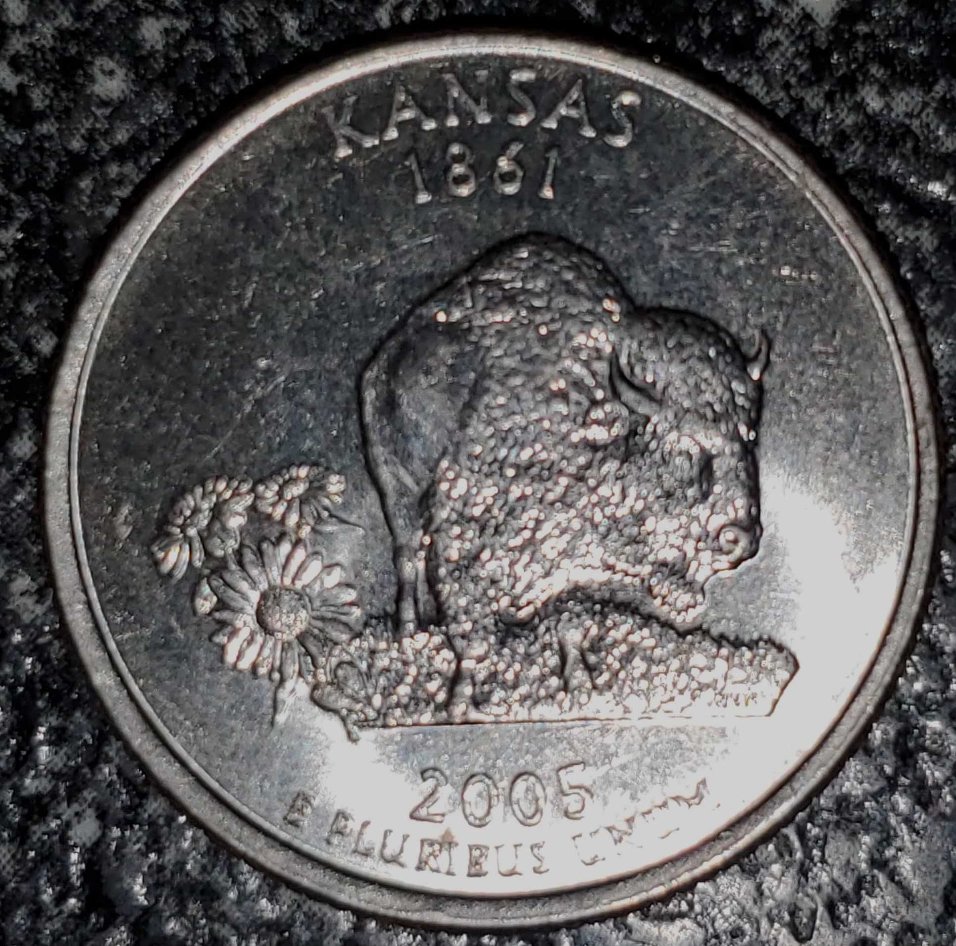 2005-D-Kansas-Quarter-Double-Buffalo-Head